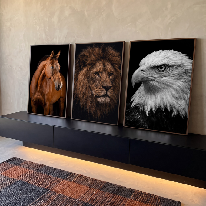 Quadro Decorativo Kit 3 Telas Cavalo Leão e Águia para Sala | quadros decorativos para sala | três retratos de animais, cavalo castanho, leão com juba e águia em preto e branco | em Quadros para Sala | Porao dos Quadros