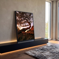 Quadro Decorativo Grande Árvore Retorcida para Sala Marrom | quadros decorativos para sala | árvore com tronco curvo e raízes expostas sob luz dourada de entardecer | em Quadros para Sala | Porao dos Quadros