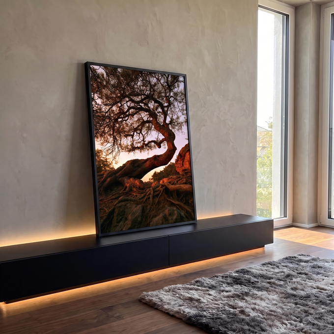 Quadro Decorativo Grande Árvore Retorcida para Sala Marrom | quadros decorativos para sala | árvore com tronco curvo e raízes expostas sob luz dourada de entardecer | em Quadros para Sala | Porao dos Quadros