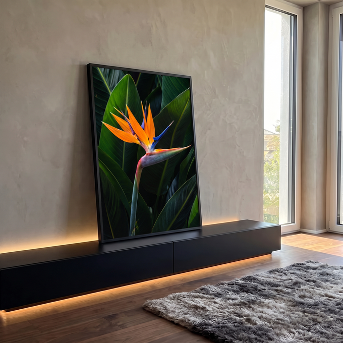 Flor ave-do-paraíso laranja e azul entre folhas tropicais verde-escuras, quadro decorativo