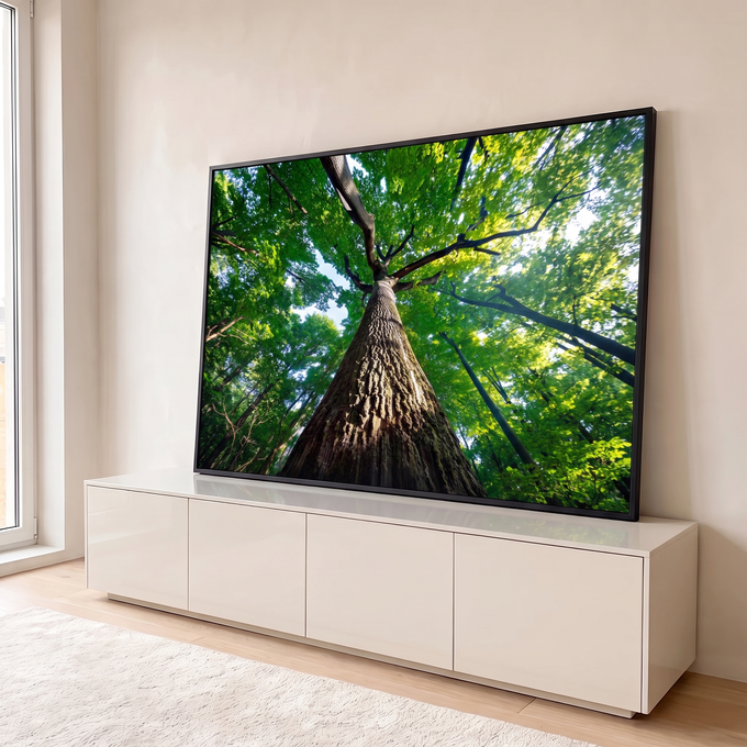 Tronco de árvore gigante visto de baixo com copa verde e luz do sol na floresta, quadro decorativo