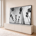 Fotografia preto e branco de palmeiras altas vistas de baixo contra céu nublado, quadro decorativo