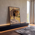 Leão macho de juba negra caminhando sobre rocha na savana dourada, fotografia realista, quadro decorativo