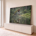 Macaco langur pendurado em galho tocando flor rosa sobre lago com reflexo na floresta, quadro decorativo