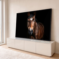 Retrato realista de cavalo baio de frente com estrela branca na testa sobre fundo preto, quadro decorativo