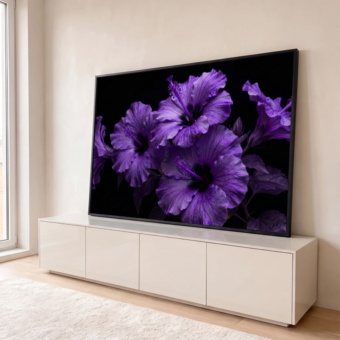 Quadro Decorativo Grande Hibiscos Roxos para Sala Roxo | quadros decorativos para sala | flores de hibisco roxas em close com estames visíveis sobre fundo preto | em Quadros para Sala | Porao dos Quadros