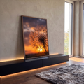 Dente-de-leão em contraluz com sementes iluminadas pelo sol poente e céu laranja, quadro decorativo