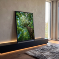 Quadro Decorativo Grande Copa de Árvore para Sala Verde | quadros decorativos para sala | vista de baixo de árvore com tronco musgoso e copa verde densa contra céu azul | em Quadros para Sala | Porao dos Quadros