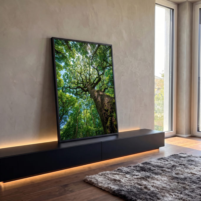 Quadro Decorativo Grande Copa de Árvore para Sala Verde | quadros decorativos para sala | vista de baixo de árvore com tronco musgoso e copa verde densa contra céu azul | em Quadros para Sala | Porao dos Quadros