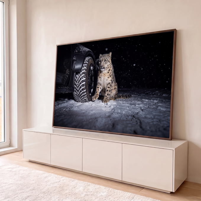 Quadro Decorativo Grande Leopardo das Neves Neve para Sala | quadros decorativos para sala | leopardo-das-neves sentado na neve ao lado de pneu de carro à noite | em Quadros para Sala | Porao dos Quadros