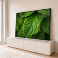 Quadro Decorativo Grande Folha de Hortelã para Sala Verde | quadros decorativos para sala | folha verde em macro com nervuras e gotículas de água visíveis | em Quadros para Sala | Porao dos Quadros