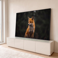 Raposa-vermelha sentada olhando de lado sob a garoa, fundo de floresta verde desfocado, quadro decorativo