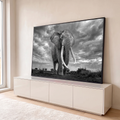 Quadro Decorativo Grande Elefante Africano Preto para Sala | quadros decorativos para sala | elefante africano de frente com presas longas em preto e branco sob céu nublado | em Quadros para Sala | Porao dos Quadros