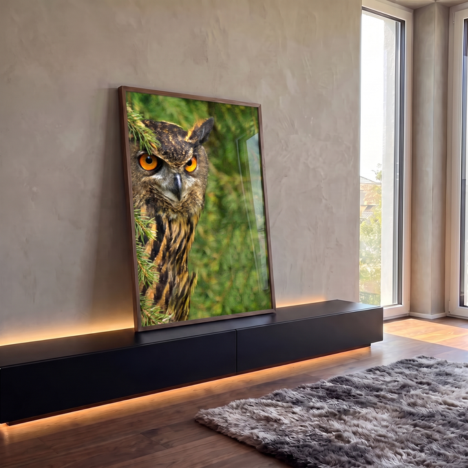 Quadro Decorativo Grande Coruja de Olhos para Sala Verde | quadros decorativos para sala | coruja com olhos laranja intensos entre galhos verdes de pinheiro | em Quadros para Sala | Porao dos Quadros