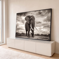 Elefante africano de presas longas caminhando sob céu dramático em fotografia sépia, quadro decorativo