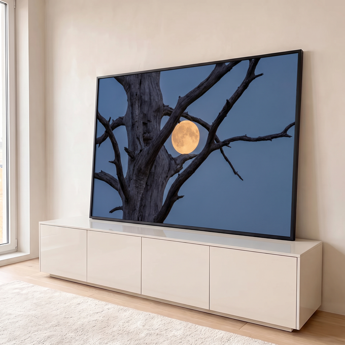 Quadro Decorativo Grande Lua Cheia Árvore Seca para Sala | quadros decorativos para sala | lua cheia dourada emoldurada por galhos secos de árvore contra céu azul crepuscular | em Quadros para Sala | Porao dos Quadros