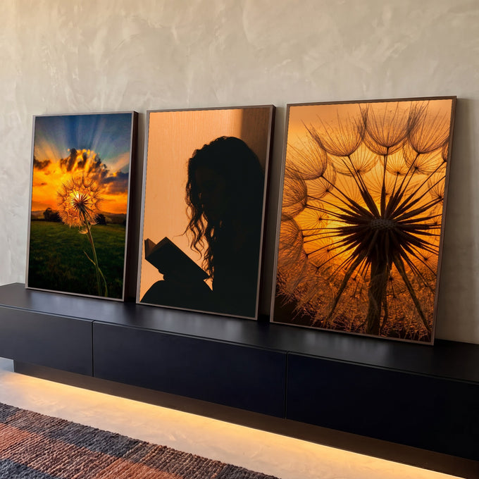 Quadro Decorativo Kit 3 Telas Dente Mulher Lendo para Sala | quadros decorativos para sala | três painéis com dente-de-leão ao pôr do sol e silhueta de mulher lendo um livro | Porao dos Quadros