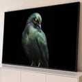 Estorninho de penas verdes iridescentes e olho amarelo em fundo preto, fotografia artística, quadro decorativo