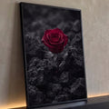 Rosa vermelha solitária entre rochas vulcânicas escuras em fundo preto e cinza, quadro decorativo