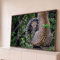 Quadro Decorativo Grande Leopardo Mãe e Cria para Sala Verde - Borda Infinita / 65x100cm