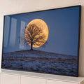 Quadro Decorativo Grande Árvore Silhuetada para Sala Azul | quadros decorativos para sala | árvore sem folhas silhuetada contra lua cheia dourada em céu azul noturno | Porao dos Quadros