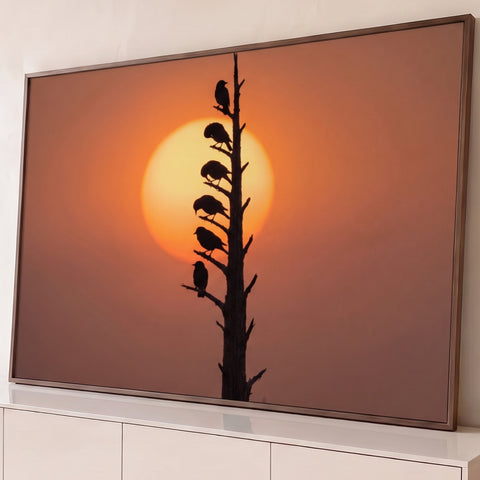 Seis pássaros em silhueta numa árvore seca diante de sol gigante laranja, quadro decorativo