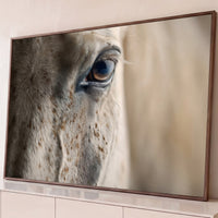 Quadro Decorativo Grande Olho de Cavalo para Sala Bege - Borda Infinita / 65x100cm