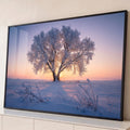 Quadro Decorativo Grande Árvore Congelada para Sala Azul | quadros decorativos para sala | árvore solitária coberta de geada branca com sol nascendo entre os galhos em campo nevado | Porao dos Quadros