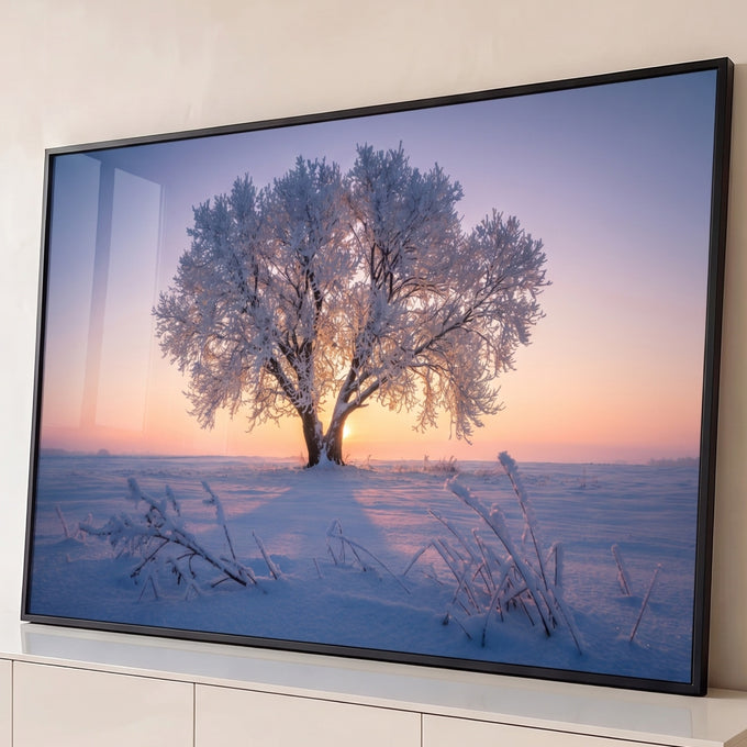 Quadro Decorativo Grande Árvore Congelada para Sala Azul | quadros decorativos para sala | árvore solitária coberta de geada branca com sol nascendo entre os galhos em campo nevado | Porao dos Quadros