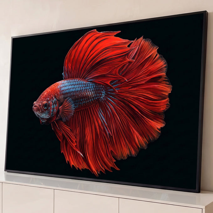 Peixe betta halfmoon vermelho com nadadeiras longas e escamas azuis em fundo preto, quadro decorativo