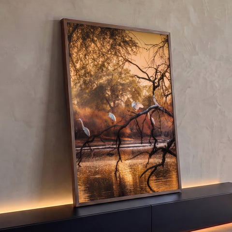 Garças brancas pousadas em galhos secos sobre lago com reflexo dourado ao pôr do sol, quadro decorativo