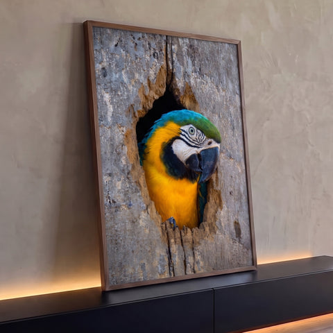 Arara azul e amarela espiando do oco de um tronco cinza de árvore, quadro decorativo