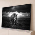 Rinoceronte caminhando de frente na savana sob nuvens de tempestade em preto e branco, quadro decorativo