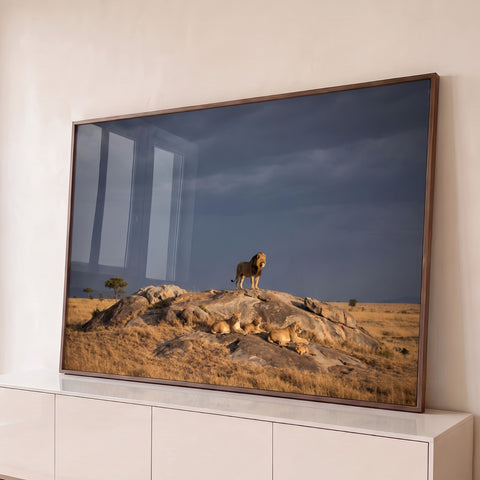Quadro Decorativo Grande Leão em Pé para Sala Cinza | quadros decorativos para sala | leão em pé sobre rocha com família de leões descansando sob céu tempestuoso | Porao dos Quadros