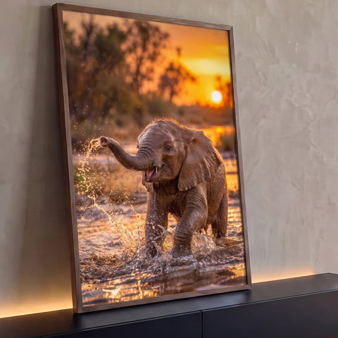 Quadro Decorativo Filhote de Elefante na Água ao Pôr do Sol | quadros decorativos para sala | filhote de elefante espirrando água com a tromba sob pôr do sol dourado | Porao dos Quadros