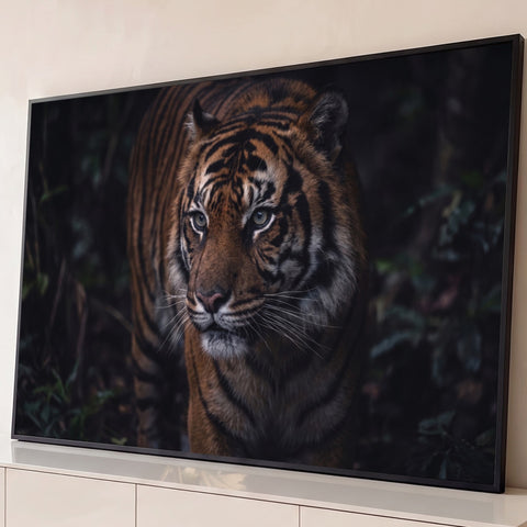 Tigre de pelagem laranja e listras pretas avançando entre folhagens escuras, olhar fixo, quadro decorativo