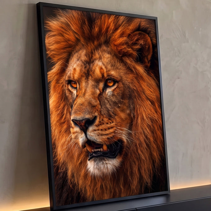 Retrato de leão em close com olhos âmbar, juba laranja e boca entreaberta em fundo escuro, quadro decorativo