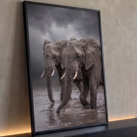 Dois elefantes africanos cruzando rio barrento sob céu de tempestade em tons de cinza, quadro decorativo