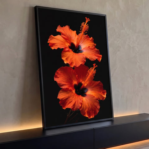 Duas flores de hibisco laranja com miolo escuro e estames iluminados sobre fundo preto, quadro decorativo