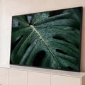 Quadro Decorativo Grande Folha para Sala Verde | quadros decorativos para sala | folha verde recortada coberta de gotas de água em close macro | Porao dos Quadros