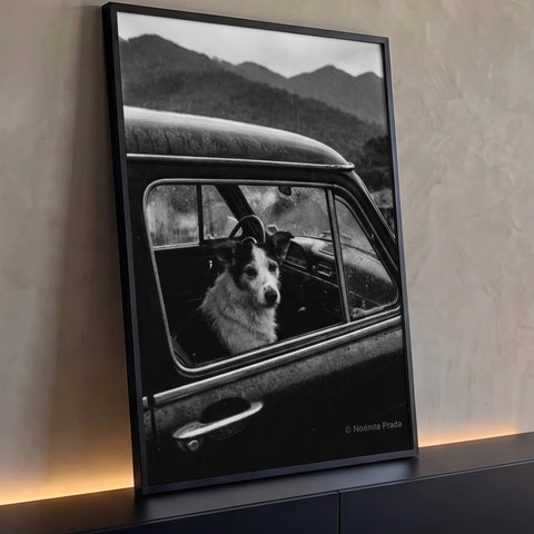 Cachorro olhando pela janela de carro antigo na chuva com montanhas, foto preto e branco, quadro decorativo