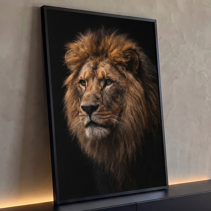 Retrato de leão com juba castanho-dourada e olhar de lado sobre fundo preto, quadro decorativo