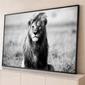 Leão de frente com a juba ao vento na savana, em fotografia preto e branco, quadro decorativo