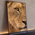 Quadro Decorativo Grande Olho de Leão para Sala Dourado | quadros decorativos para sala | close extremo do rosto de um leão com olho âmbar e bigodes brancos | Porao dos Quadros