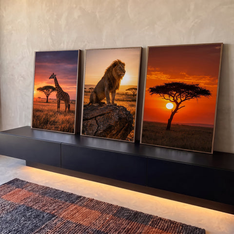 Quadro Decorativo Kit 3 Telas Savana Africana para Sala | quadros decorativos para sala | tríptico com girafa, leão em rocha e árvore acácia ao pôr do sol africano | Porao dos Quadros