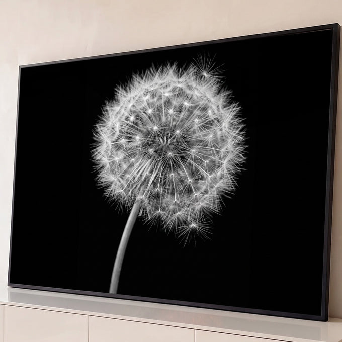 Quadro Decorativo Grande Dente de Leão para Sala Preto | quadros decorativos para sala | dente-de-leão em sementes com fiapos finos sobre fundo preto | Porao dos Quadros