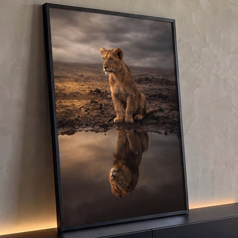 Filhote de leão sentado em terra rachada com reflexo de leão adulto na água, quadro decorativo