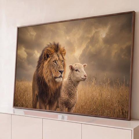 Leão de juba farta ao lado de um cordeiro em campo dourado sob céu nublado, quadro decorativo