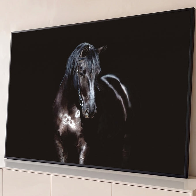 Cavalo negro com cabeçada de couro, luz lateral e brilho no pelo sobre fundo preto, quadro decorativo