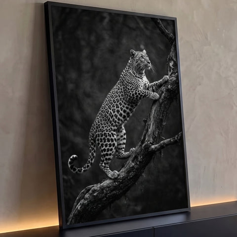 Leopardo escalando tronco de árvore seca em fotografia preto e branco de alto contraste, quadro decorativo